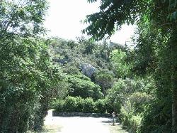 Achat Terrain � b�tir Alissas 07210