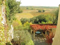 Achat Maison Saint-Christol 34400