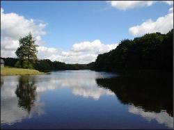 Achat Maison Land�an 35133