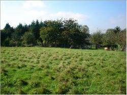 Achat Terrain � b�tir Javen� 35133