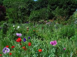Achat Terrain � b�tir Saint-Maurice-sur-Aveyron 45230