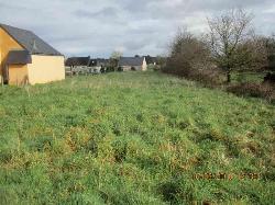 Achat Terrain a batir 56490 Guilliers department 56