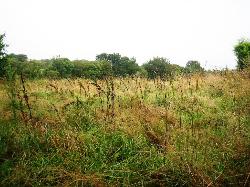 Achat Terrain � b�tir Locmalo 56160