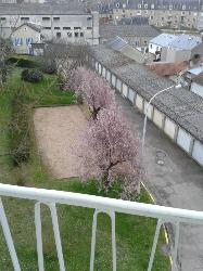 Achat Appartement 58000 Nevers department 58