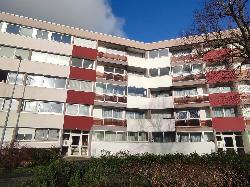 renseigner balise alt